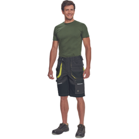 SHELDON šortky